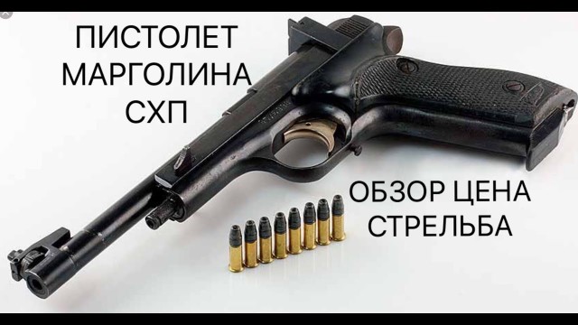 В Благовещенске женщина отравила стаю собак - листовки с ней развешены по городу