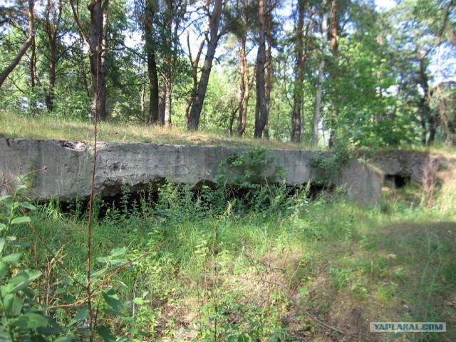Форты Бреста