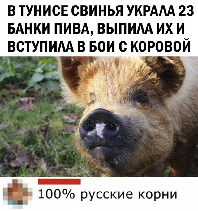 Так себе картинки 05.04.22