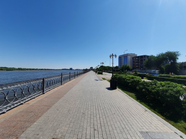 Астрахань – город «мёртвых» собак