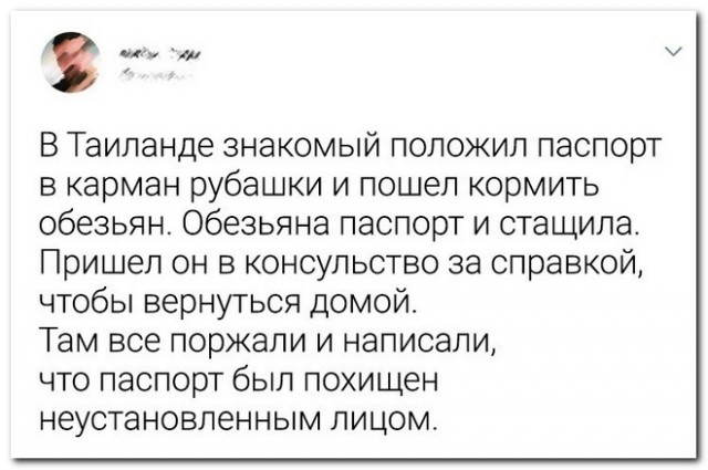 Забавные комментарии из социальных сетей (05.09.22)