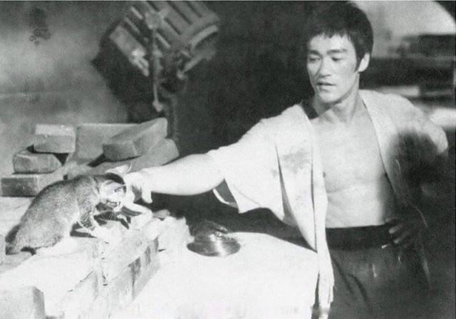 Красота прошлого на 30 редких исторических фото