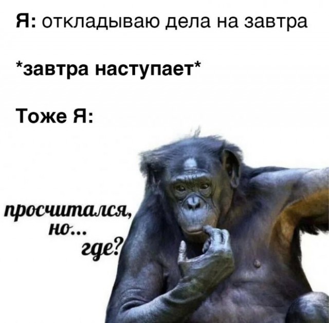 Весёлый полтишок 08.05.23