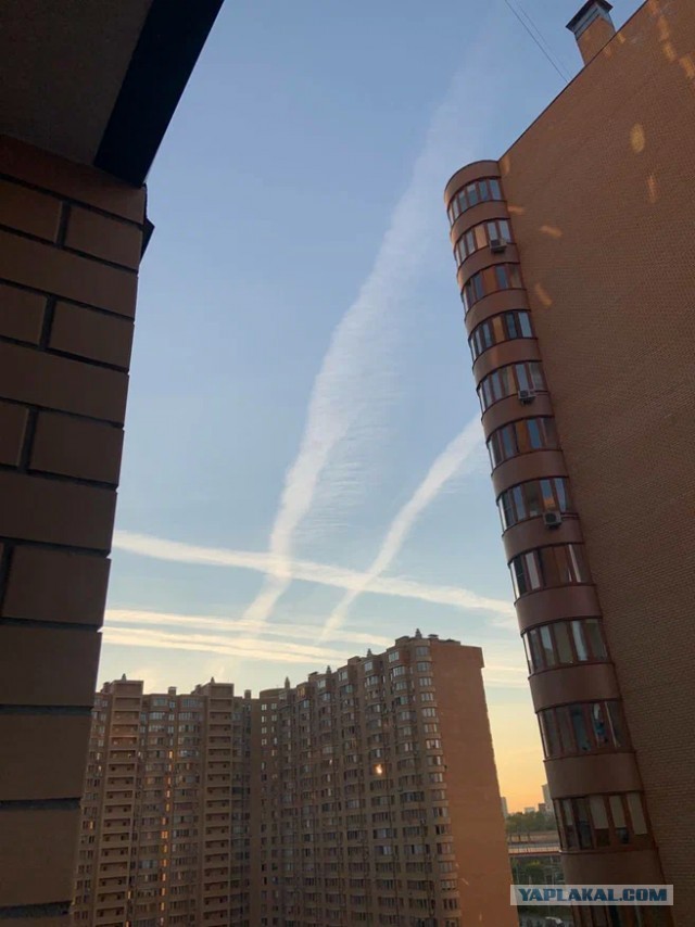 В Сокольниках из-за резкого числа заболевших возобновил работу ковидный госпиталь