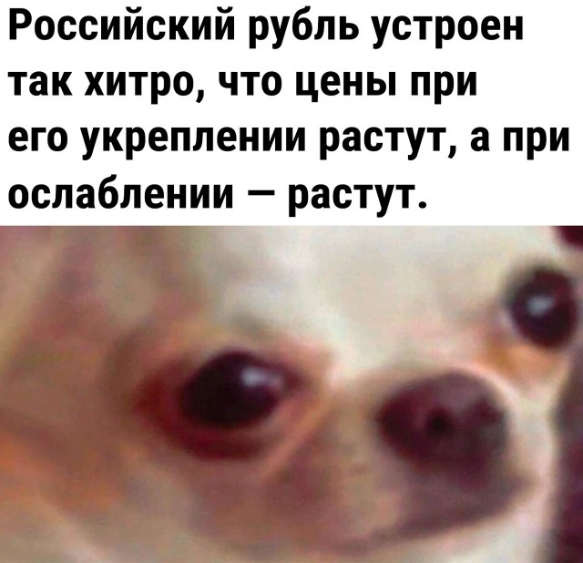 Так себе картинки 10.10.2023