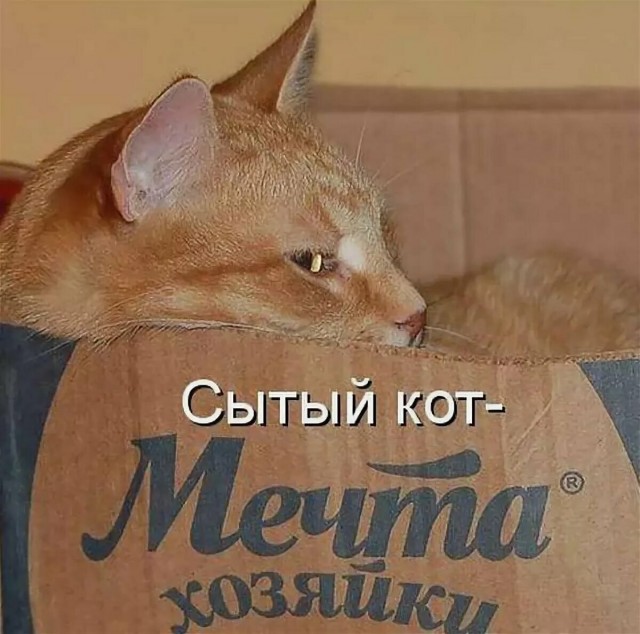 Тлидцать тли пятничные