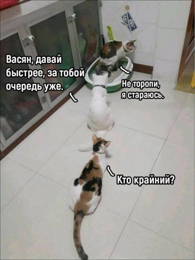 Всего понемногу. От 21.06.2024