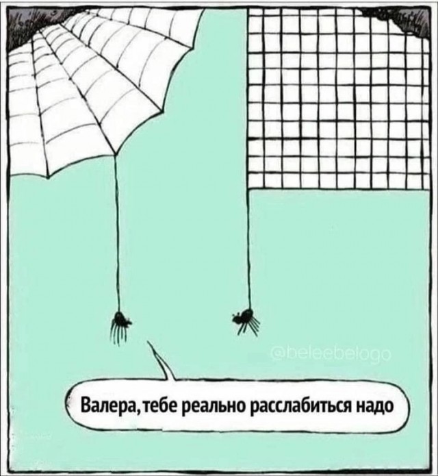 Весёлый полтишок 29.12.24