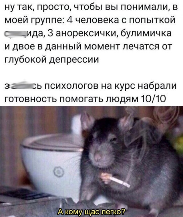 Так себе картинки 06.03.25