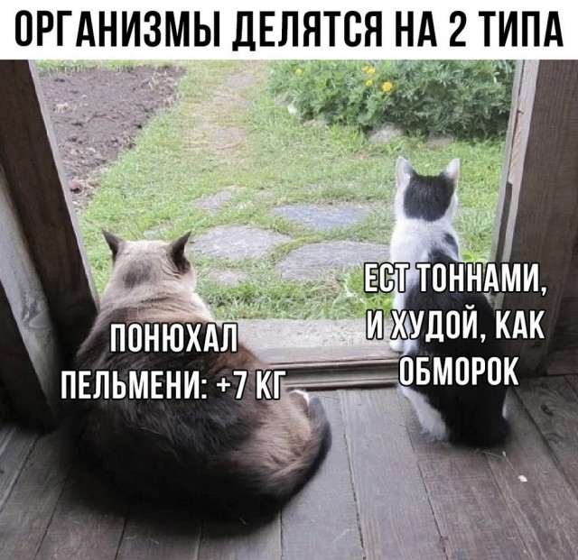 Жипеги и не совсем