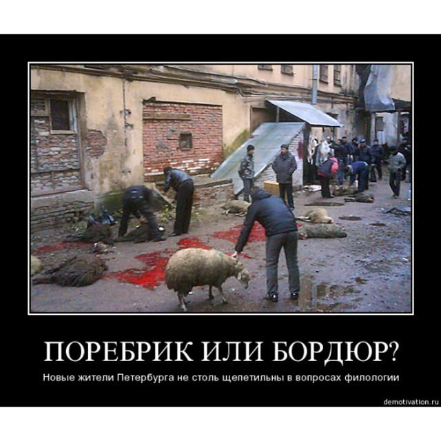 Московский проспект в Питере сейчас