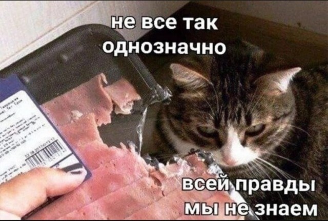 Так себе картинки 13.06.25