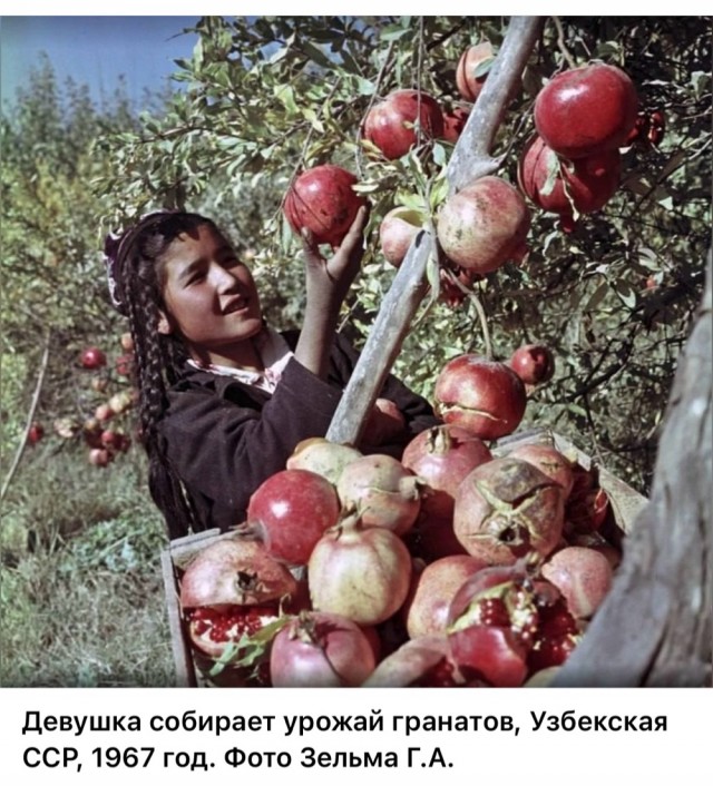 Фотографии из прошлого нашей страны – 115