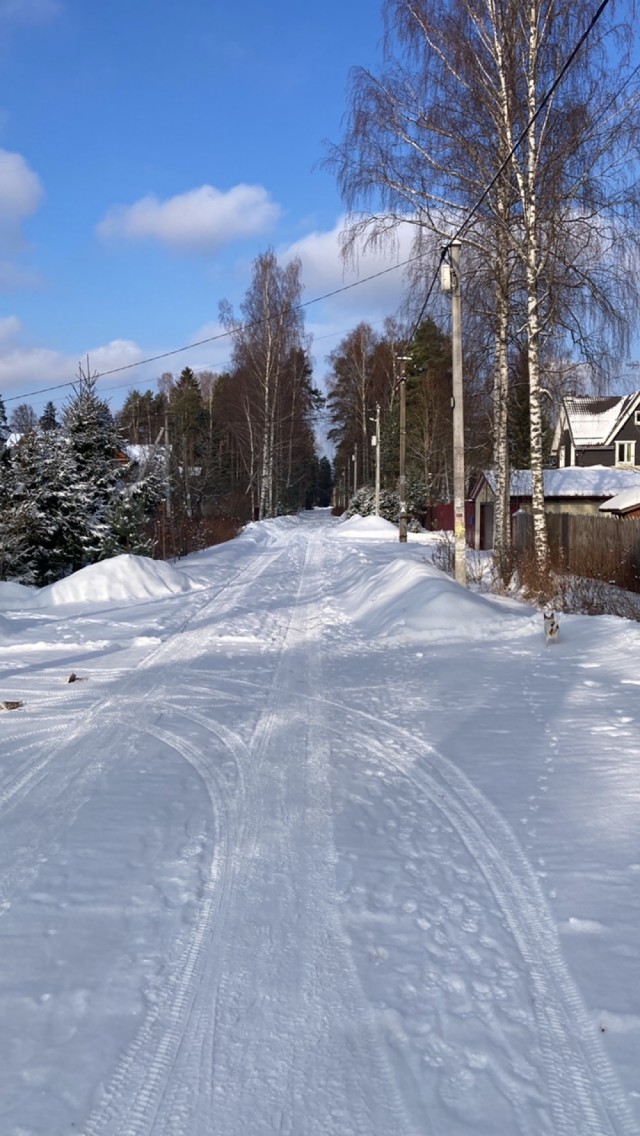 От осени до осени