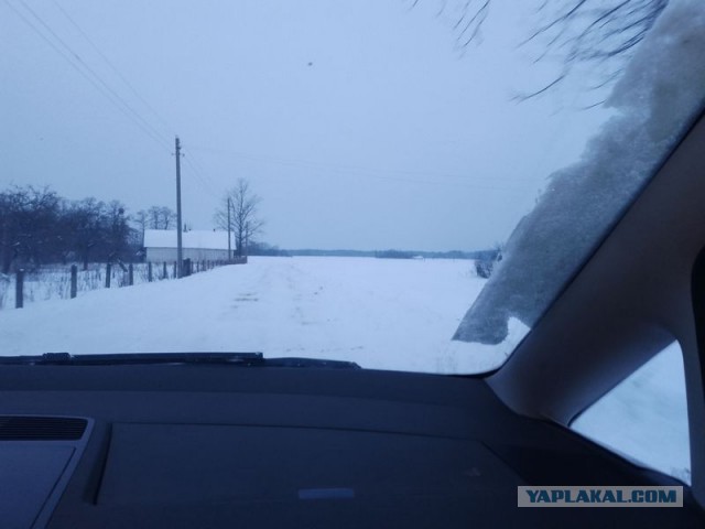 Жизнь домашнего приюта для котеек 570