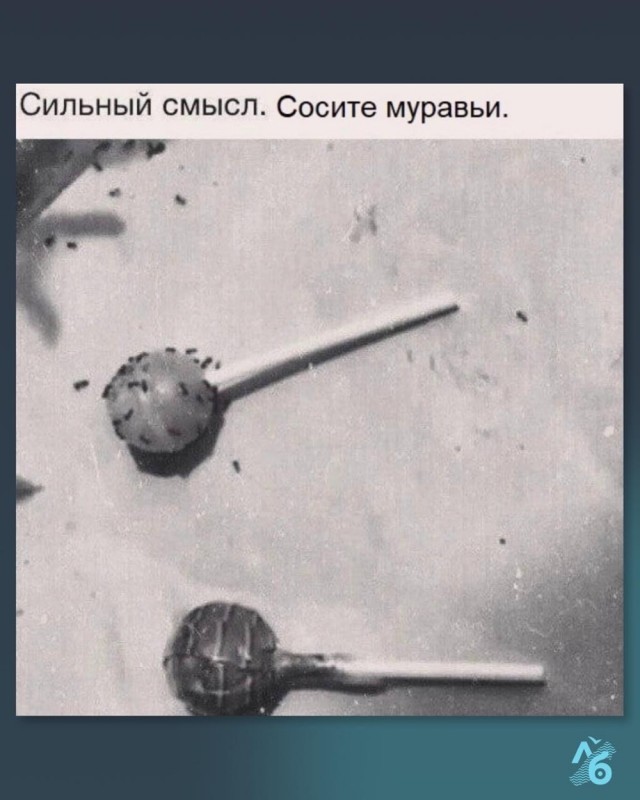 Деградация