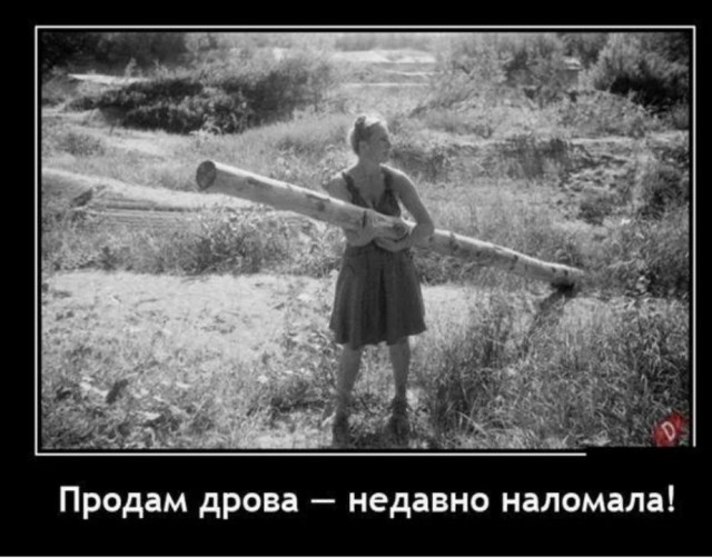 Картинки для деградации 184 (разной степени свежести)