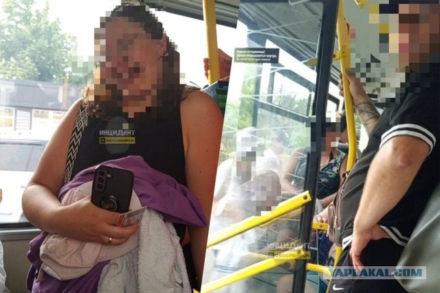 В Новосибирске пассажиры автобуса устроили массовую драку из-за места