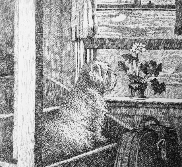Иллюстрации к книге