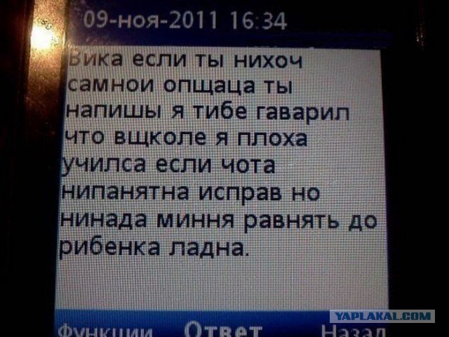 Грамматнасть и нтилехт вконтактовских обитателей