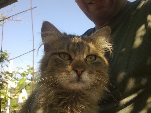Котовторник 27.5.2014