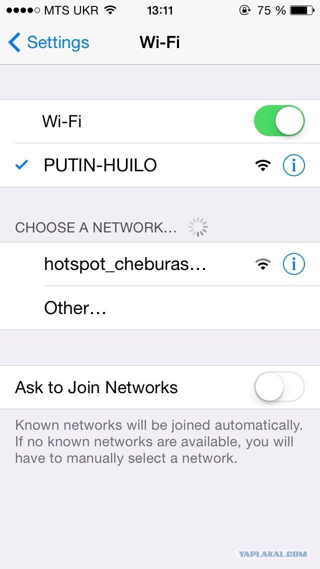 Партизанская война