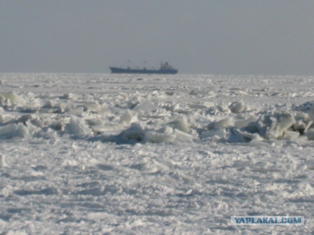 Аномальные морозы и снегопады в Европе