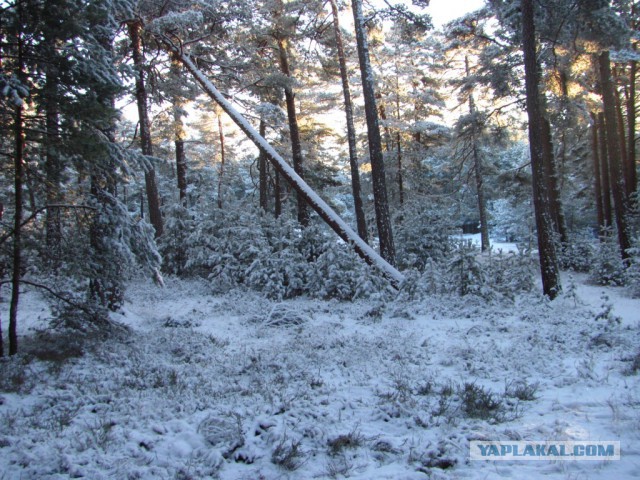 Латвия, Лиепая, район Кароста