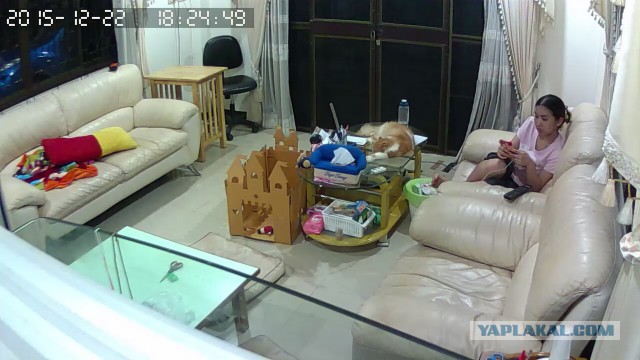 За что я люблю китайцев