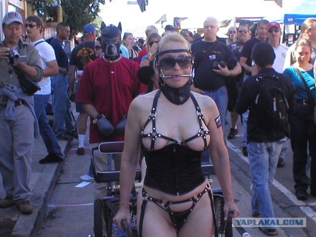 Как весь мир смотрел порно в 2015