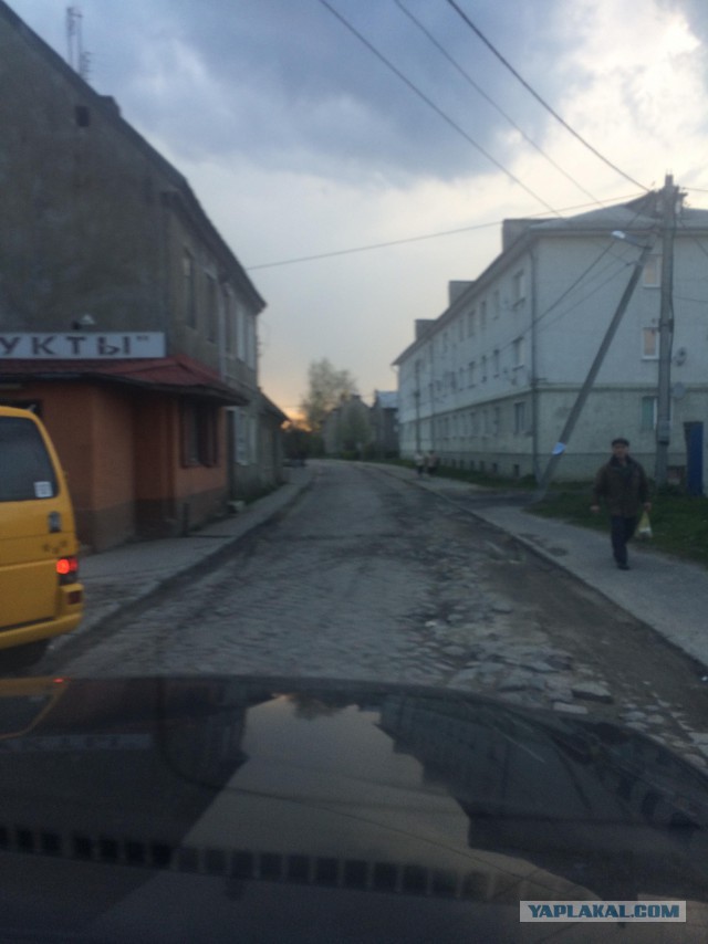 Крякнет ли серый гусь?