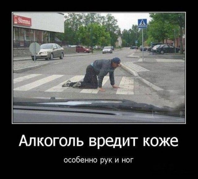 Подборка интересных и веселых фото