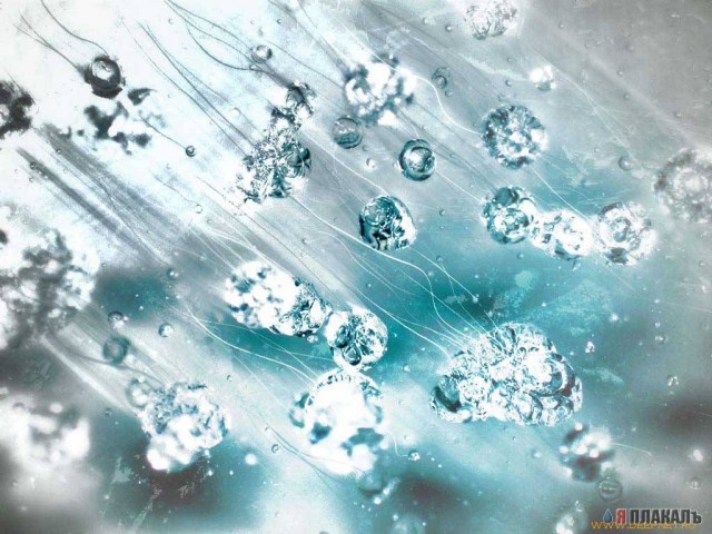 Подборка 3-D обоев для раб. столов.