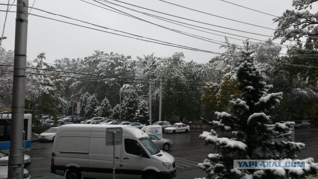 В Абакане снег, а как у вас погода, дорогие ЯПовчане?