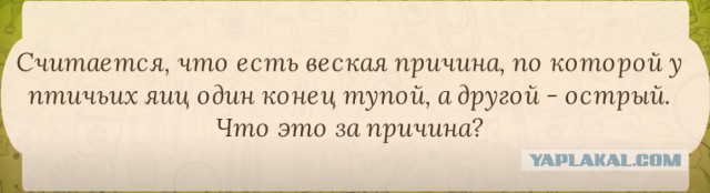 Загадки на собеседованиях