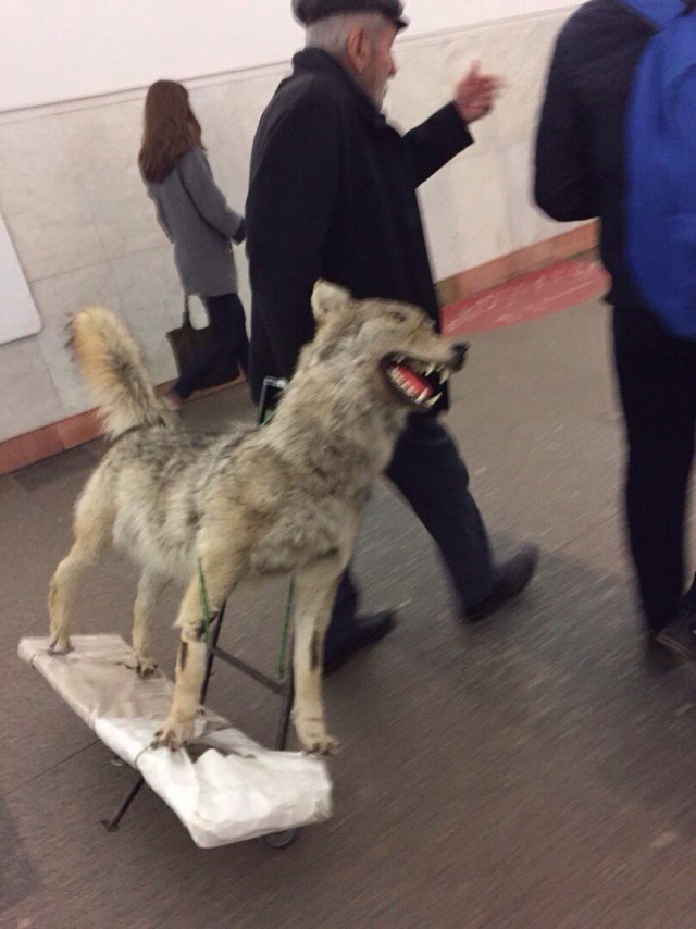 Модники из нашей подземки. Свежее