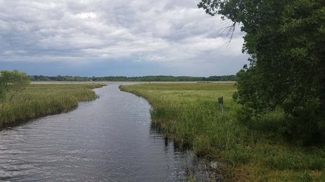 Просто Природа