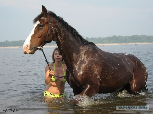 Кони, девушки и море