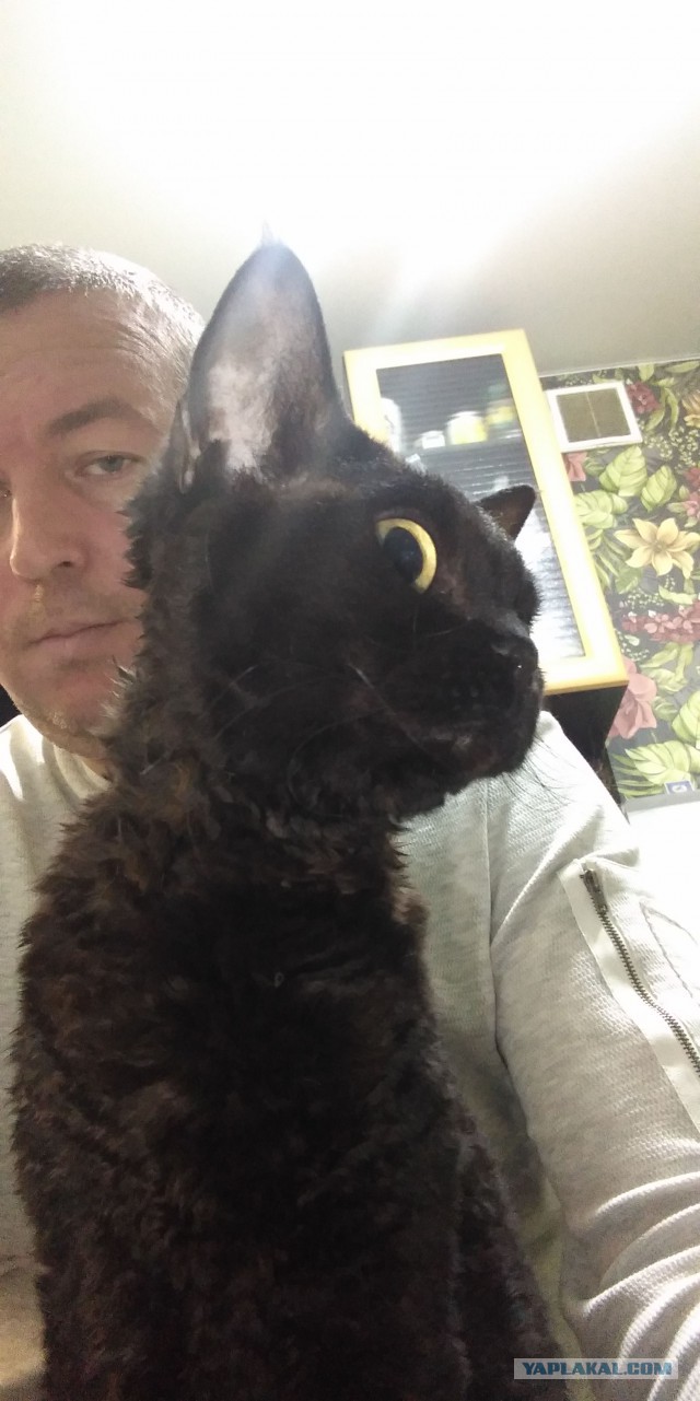 Мужчина, который уходит не насовсем