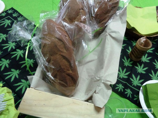 Конопля с грибами