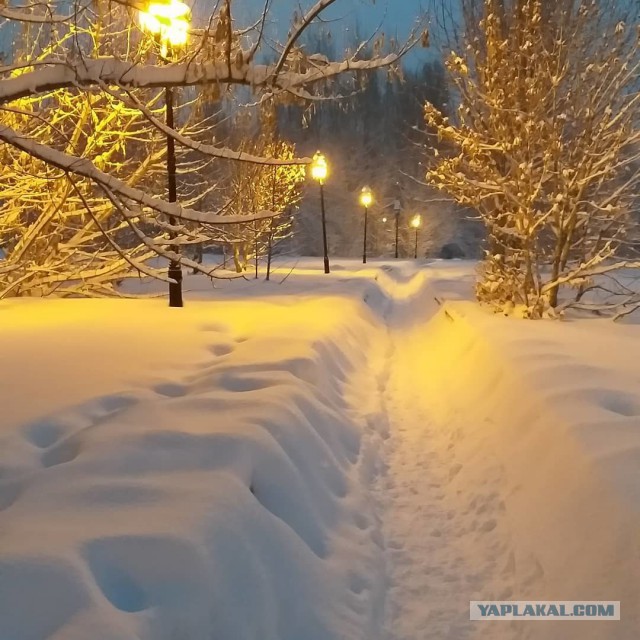 Многострадальный Саратов
