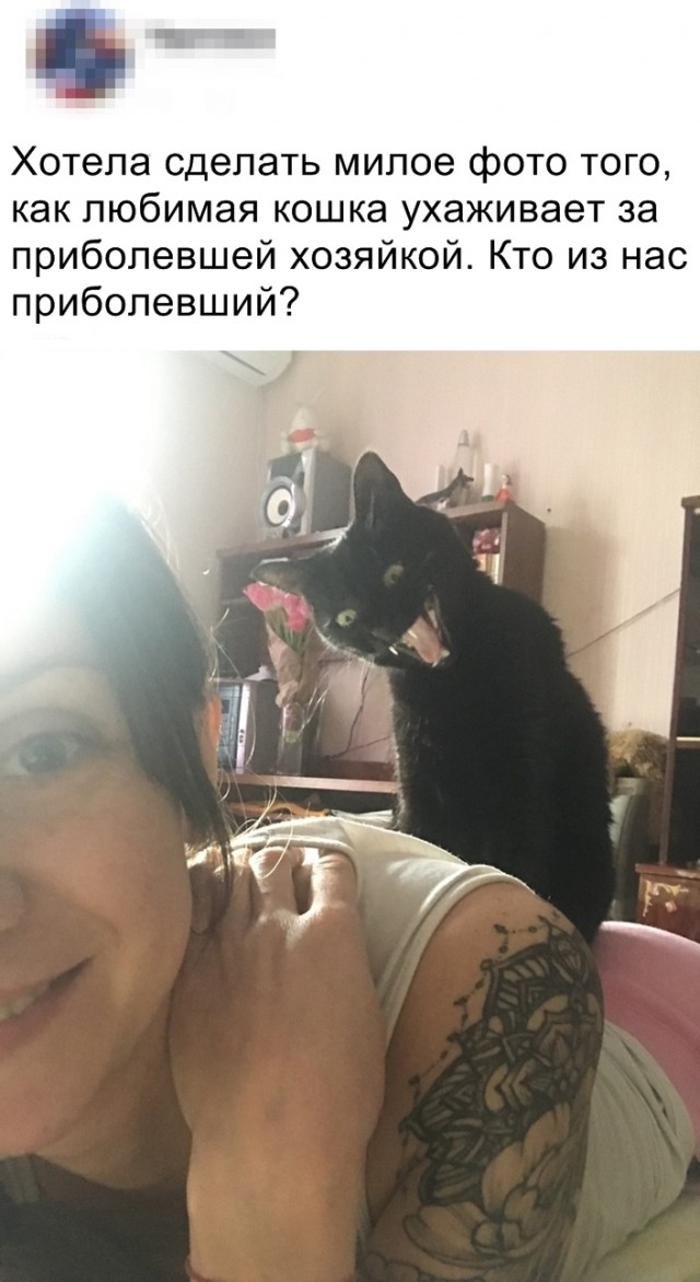 Нестандартный юмор
