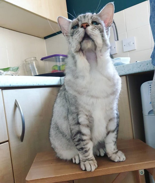 Необычные вещи, которые люди успели  сфотографировать