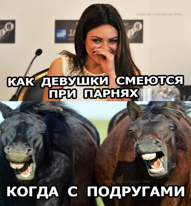 Мемы фото с надписями на русском
