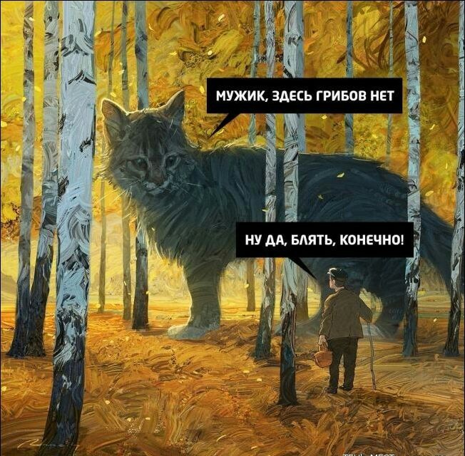 Котовторник 03.03.2020