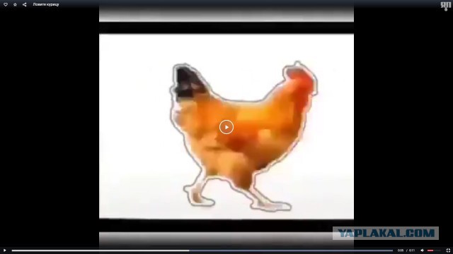 Кому нечем заняться: ловите курицу, нажимая на паузу