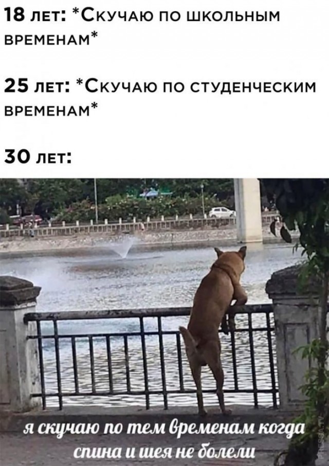 Немного картинок для настроения 22.08.20