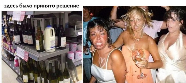 Фотки и картинки: юморные и красивые, забавные и милые 02.11.20