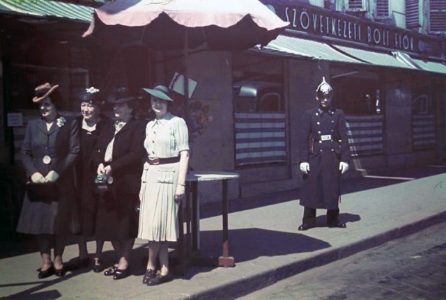 20 век в цвете. 1940 г. Мир без войны 80 лет назад