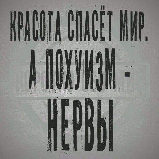 Картинки и мемы для настроения 012